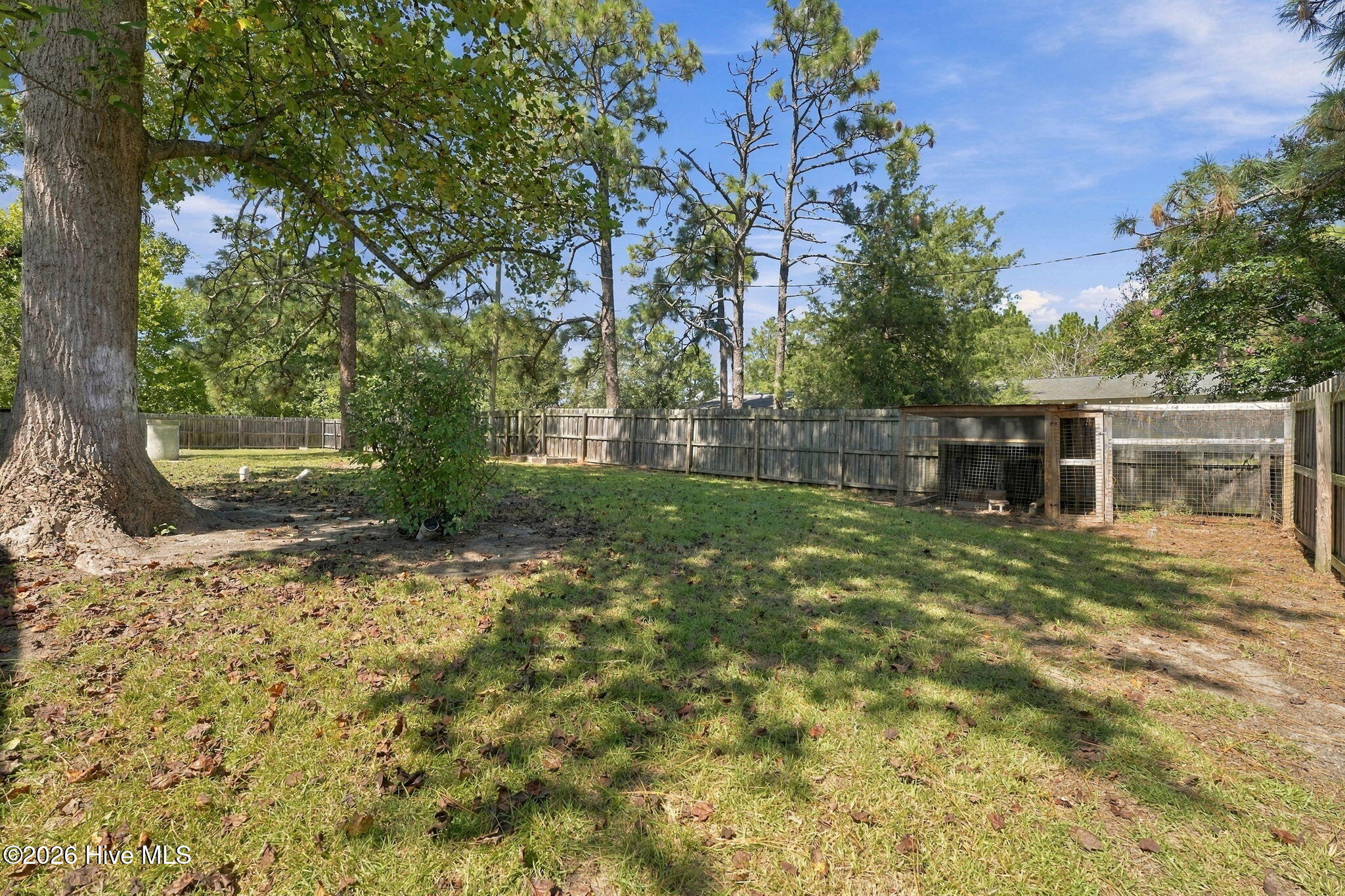 263 Youngs Road Vass, NC 28394 - Photo 31 of 38 47-web-or-mls-DSC04820