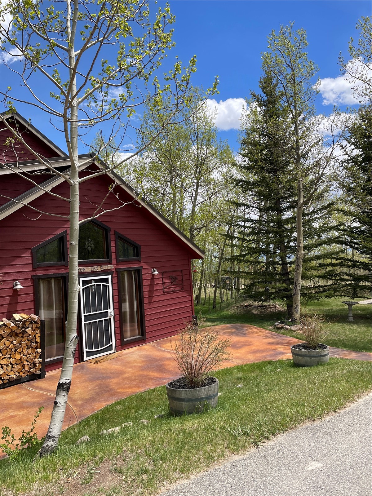 1462 Sheep Ridge Road Fairplay, CO 80440 - Photo 6 of 48 Gallery Image 6