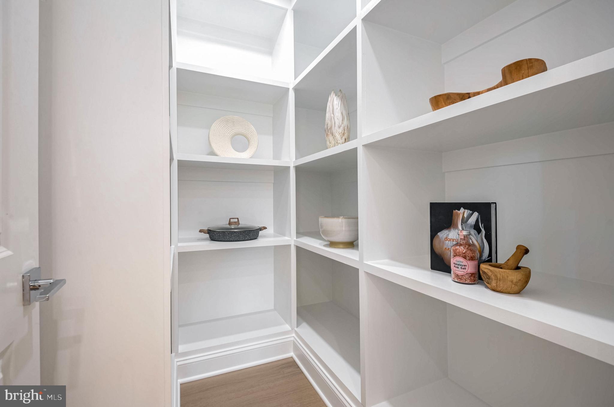 1809 Shenandoah Road Alexandria, VA 22308 - Photo 21 of 77 Walk-in Pantry for Small Appliances/Food Storage.