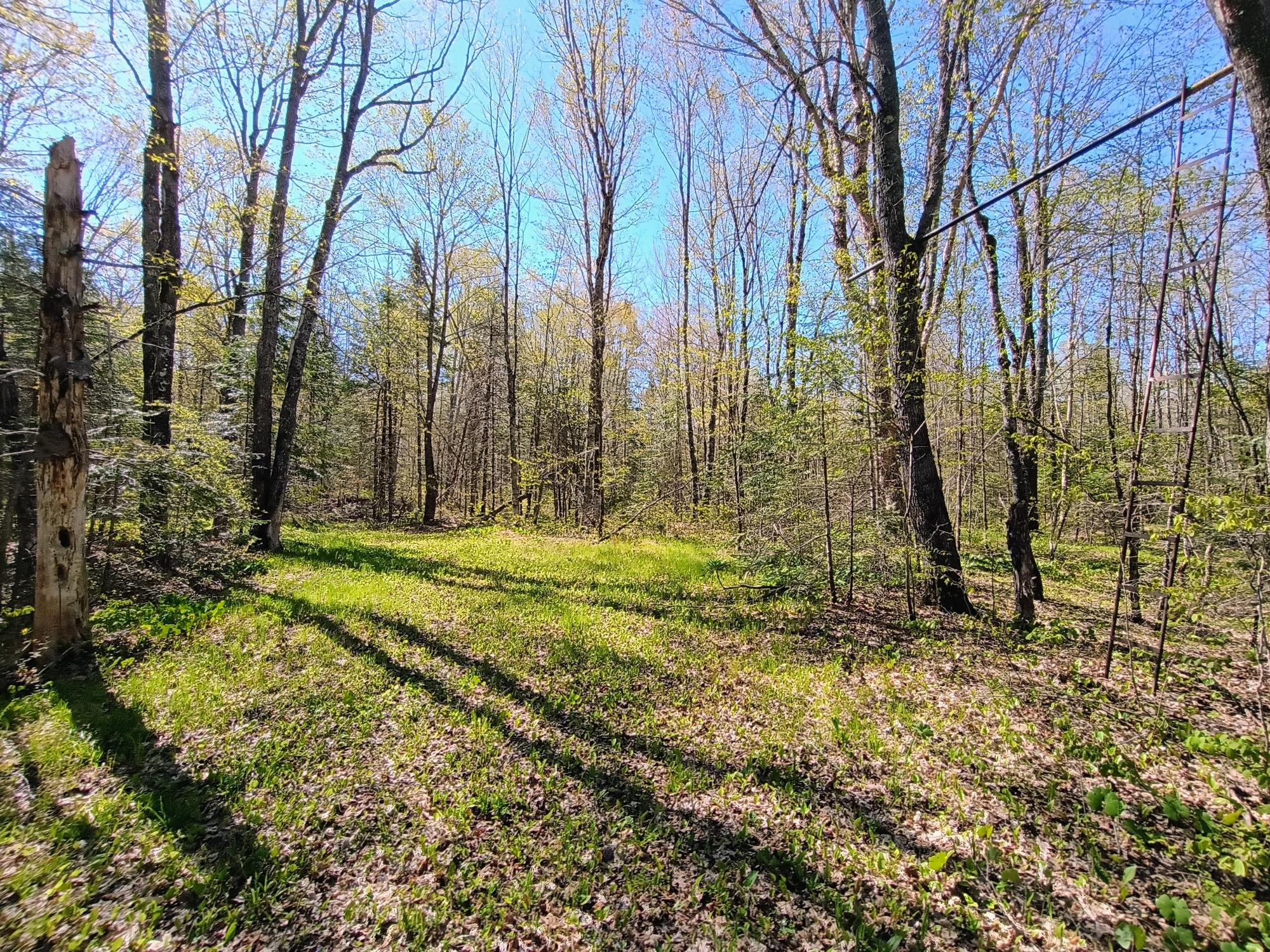 40-ac On Nig Rein Road, Unit 40 AC Glidden, WI 54527 - Photo 26 of 26 Gallery Image 26