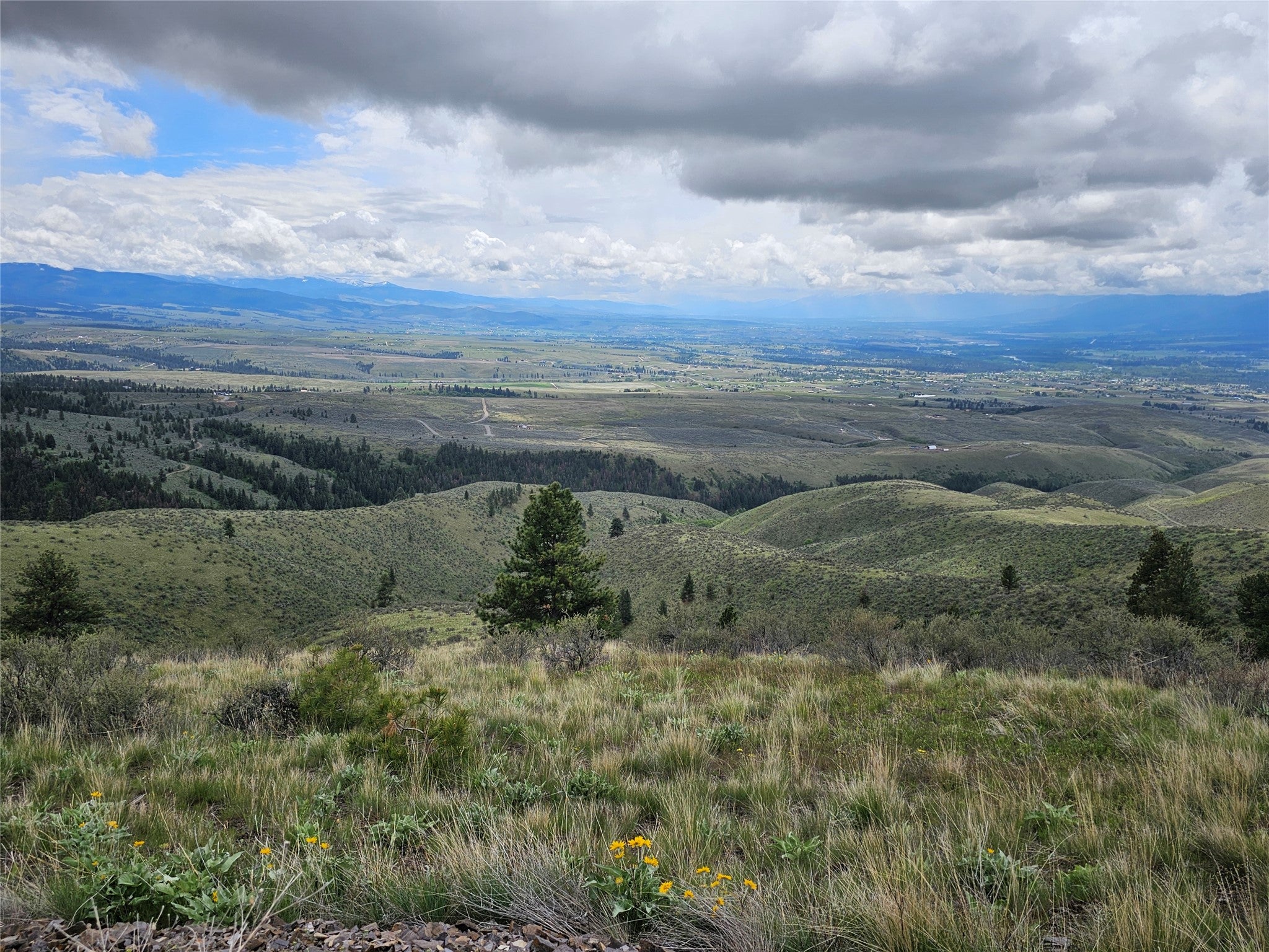 18866 Copper Rdg Trail Florence, MT 59833 - Photo 6 of 139 Gallery Image 6