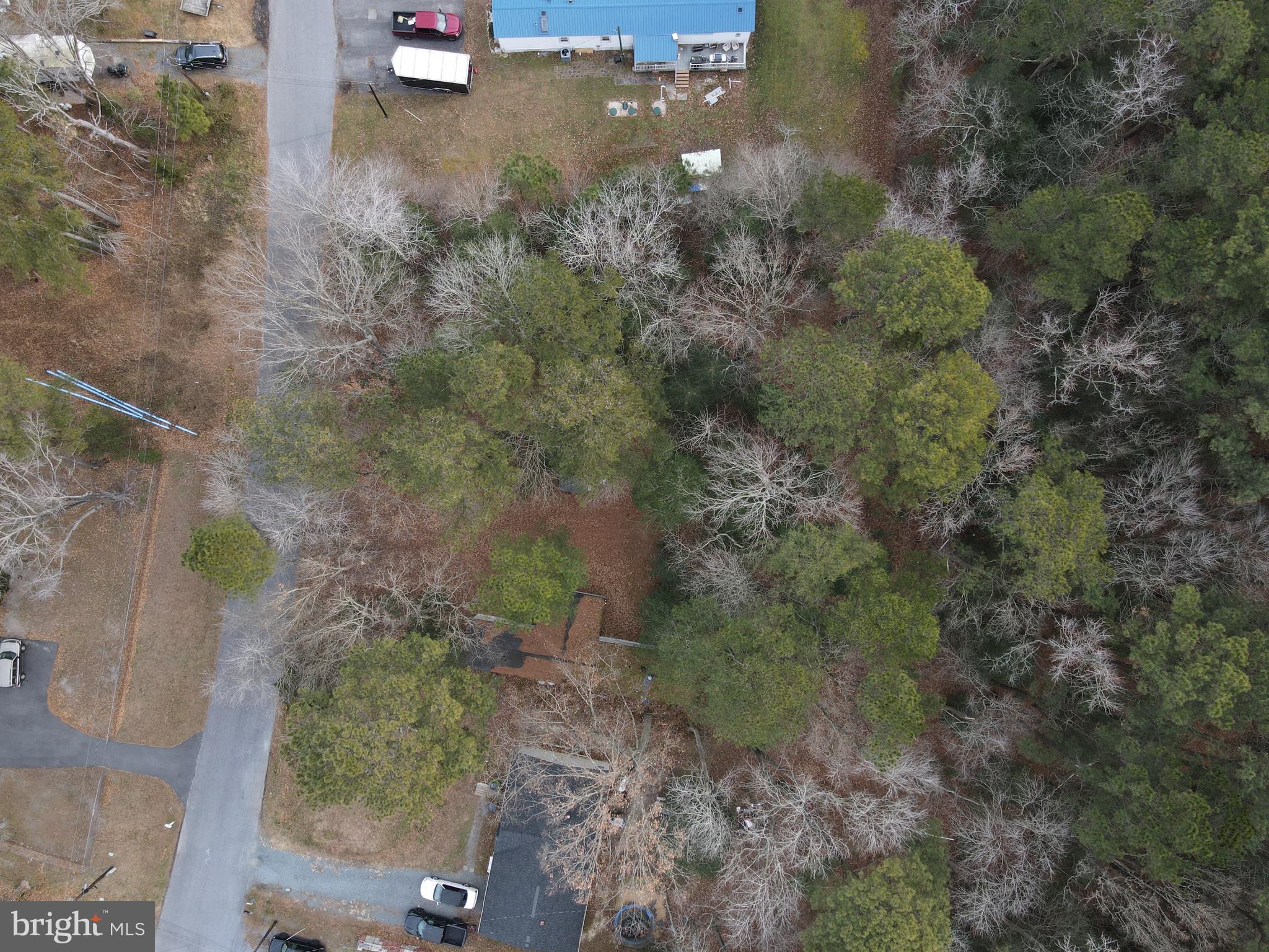 Lot 40 Vacation Road Millsboro, DE 19966 - Photo 3 of 8 a view of a plants and small trees