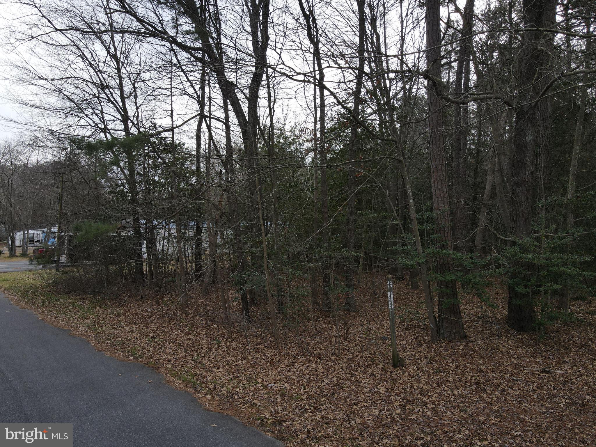 Lot 40 Vacation Road Millsboro, DE 19966 - Photo 4 of 8 a backyard of a house with lots of green space