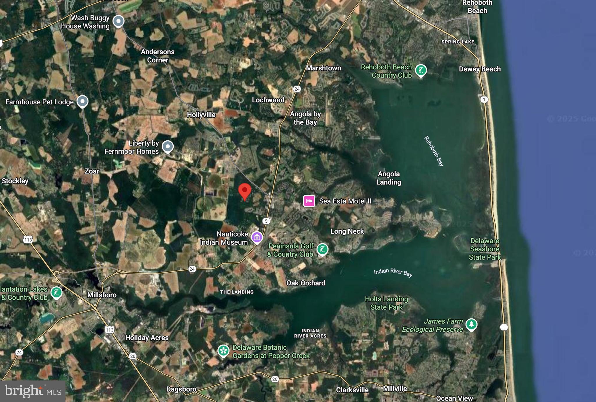 Lot 40 Vacation Road Millsboro, DE 19966 - Photo 8 of 8 a view of a flower in a garden