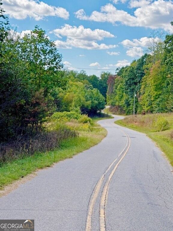 0 Fox Mountain Road Marston, NC 28363 - Photo 11 of 11 Gallery Image 11
