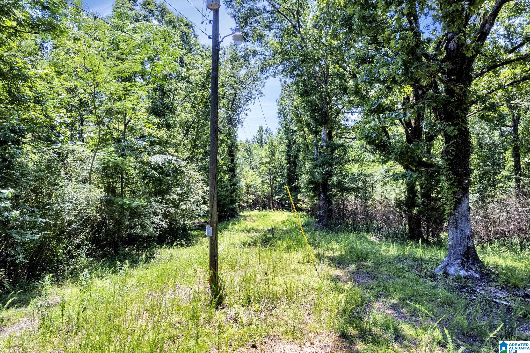 572 Dunn Hill Road Parrish, AL 35580 - Photo 6 of 25