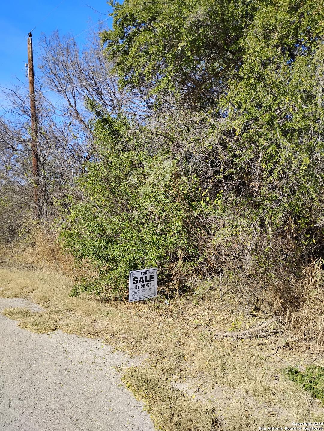 0 Abdalla Road Quemado, TX 78877 - Photo 3 of 4