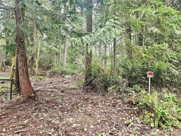 $40,000 | 3-nka West Go Onna Drive, Quilcene, WA 98376
