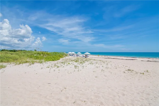 a view of beach and ocean