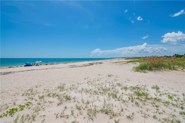 a view of beach and ocean