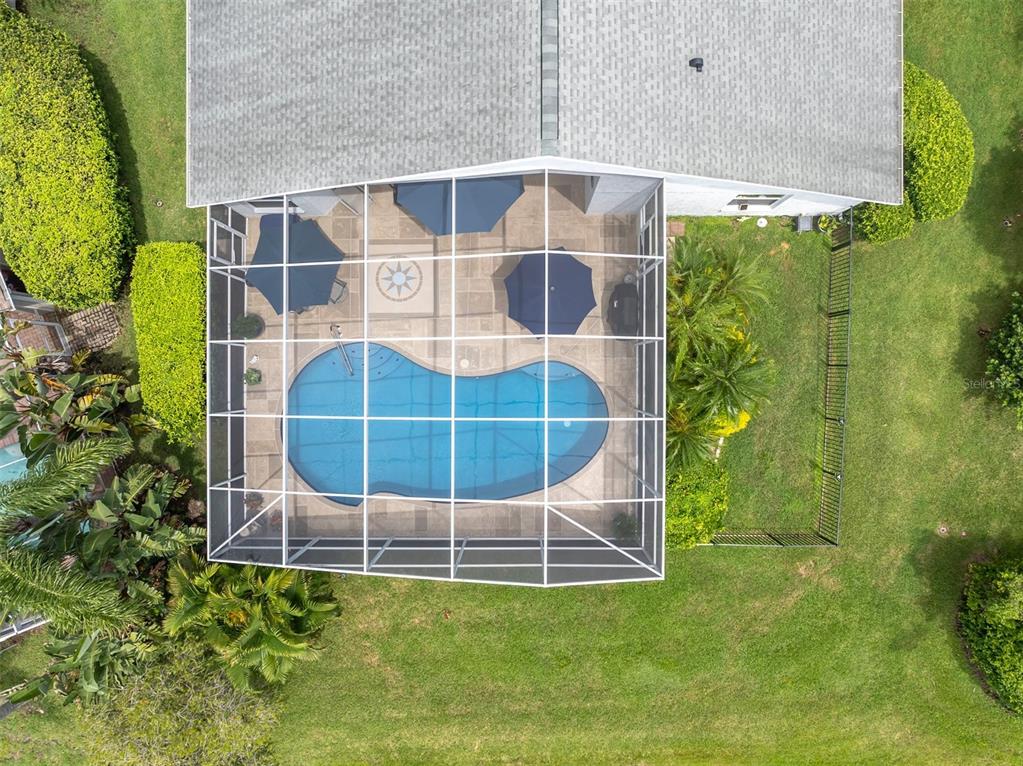 18808 Chaville Road Lutz, FL 33558 - Photo 29 of 46