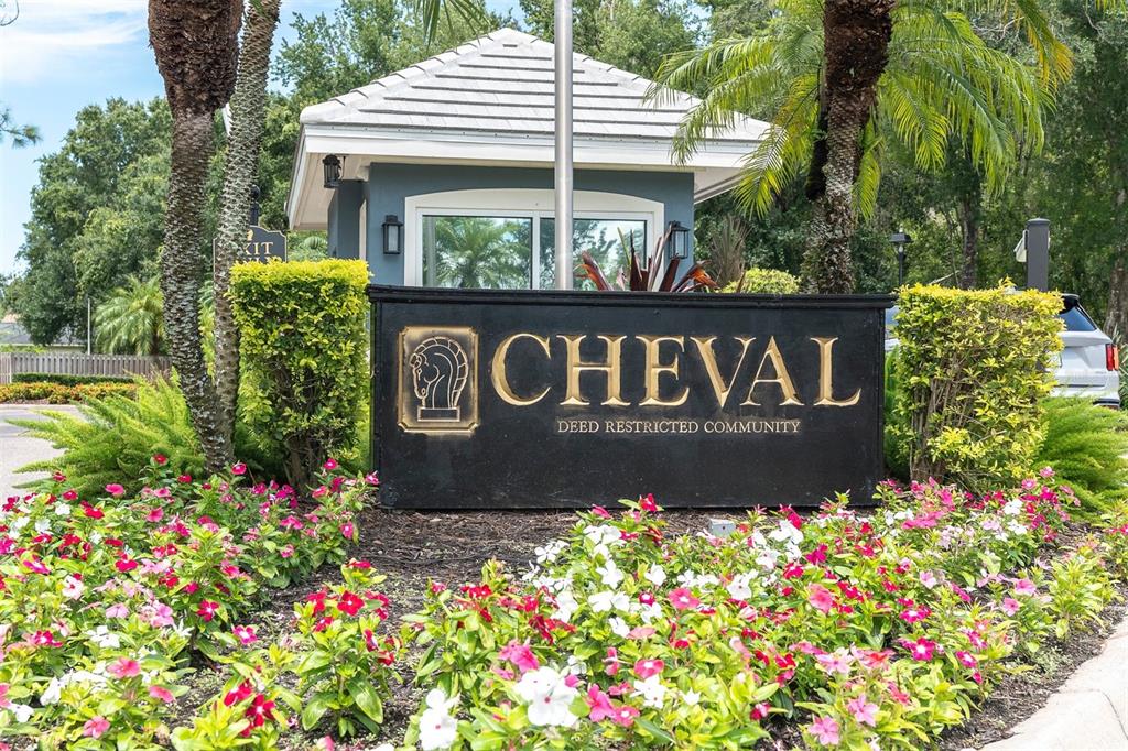 18808 Chaville Road Lutz, FL 33558 - Photo 40 of 46