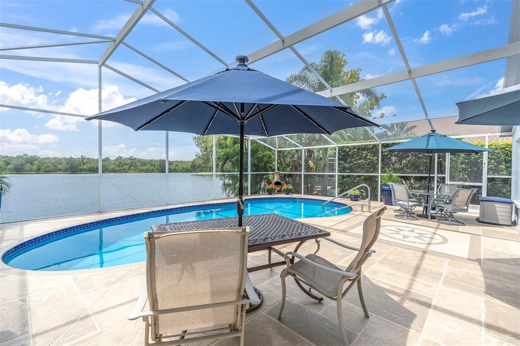 18808 Chaville Road Lutz, FL 33558 - Photo 4 of 46