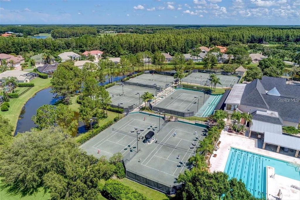 18808 Chaville Road Lutz, FL 33558 - Photo 44 of 46