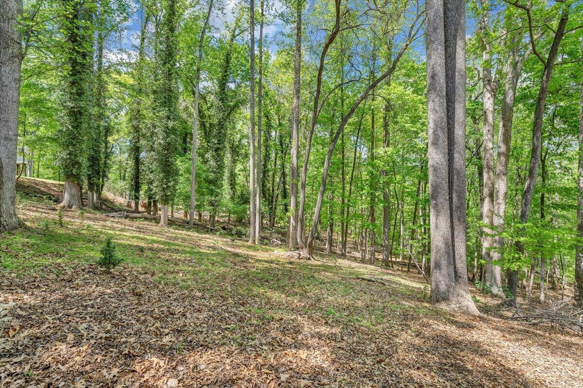 159 Lakeshore Terrace Road Hardy, VA 24101 - Photo 51 of 90 Yard