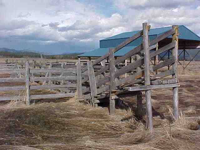 19282 Westside Calispel Road Cusick, WA 99119 - Photo 5 of 6