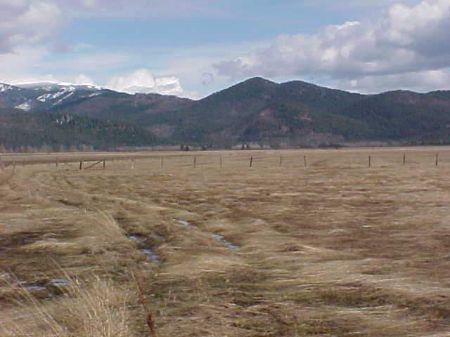 19282 Westside Calispel Road Cusick, WA 99119 - Photo 6 of 6