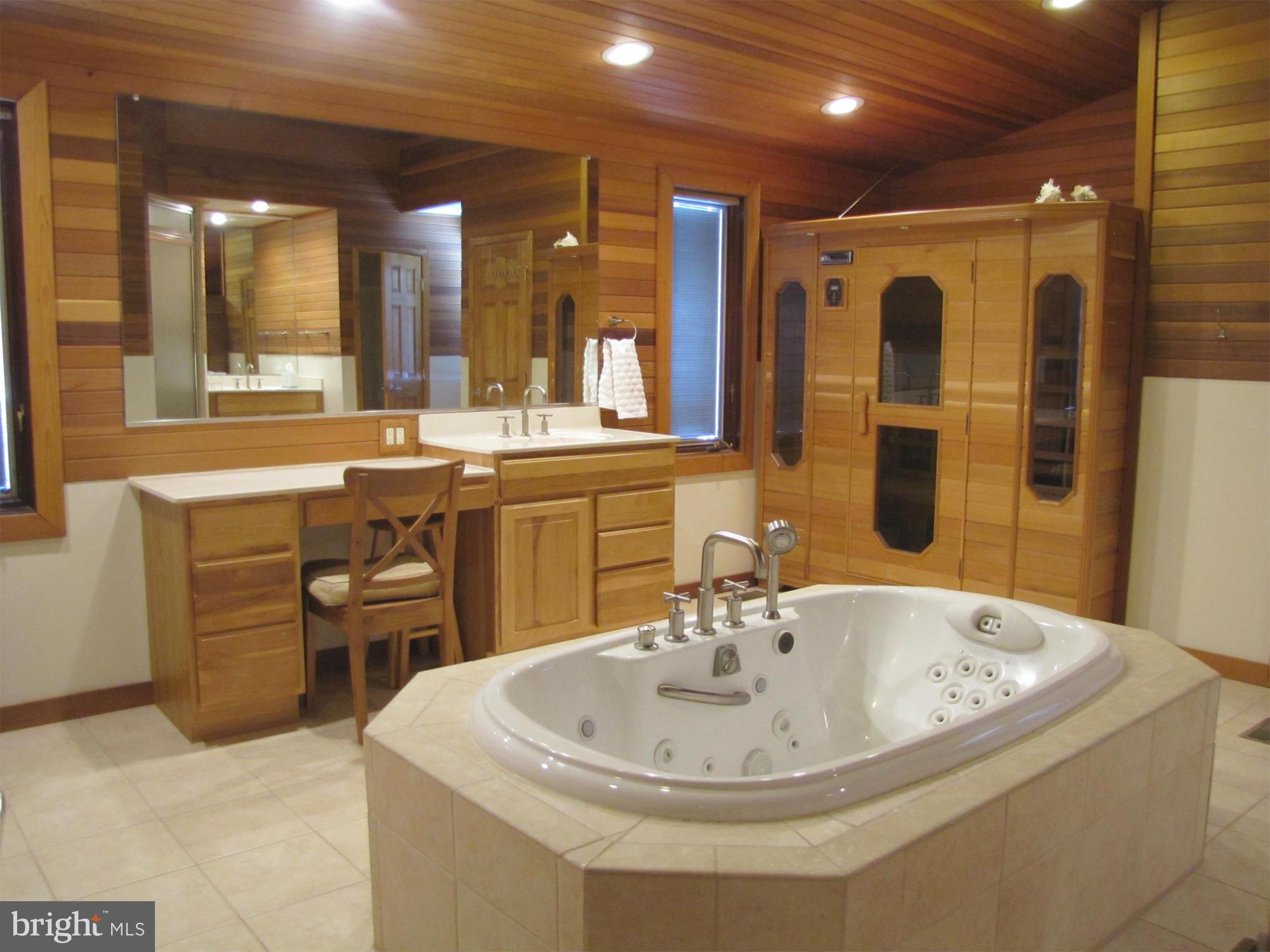 6219 Evergreen Mountain Road Broad Run, VA 20137 - Photo 15 of 29 Bath and sauna