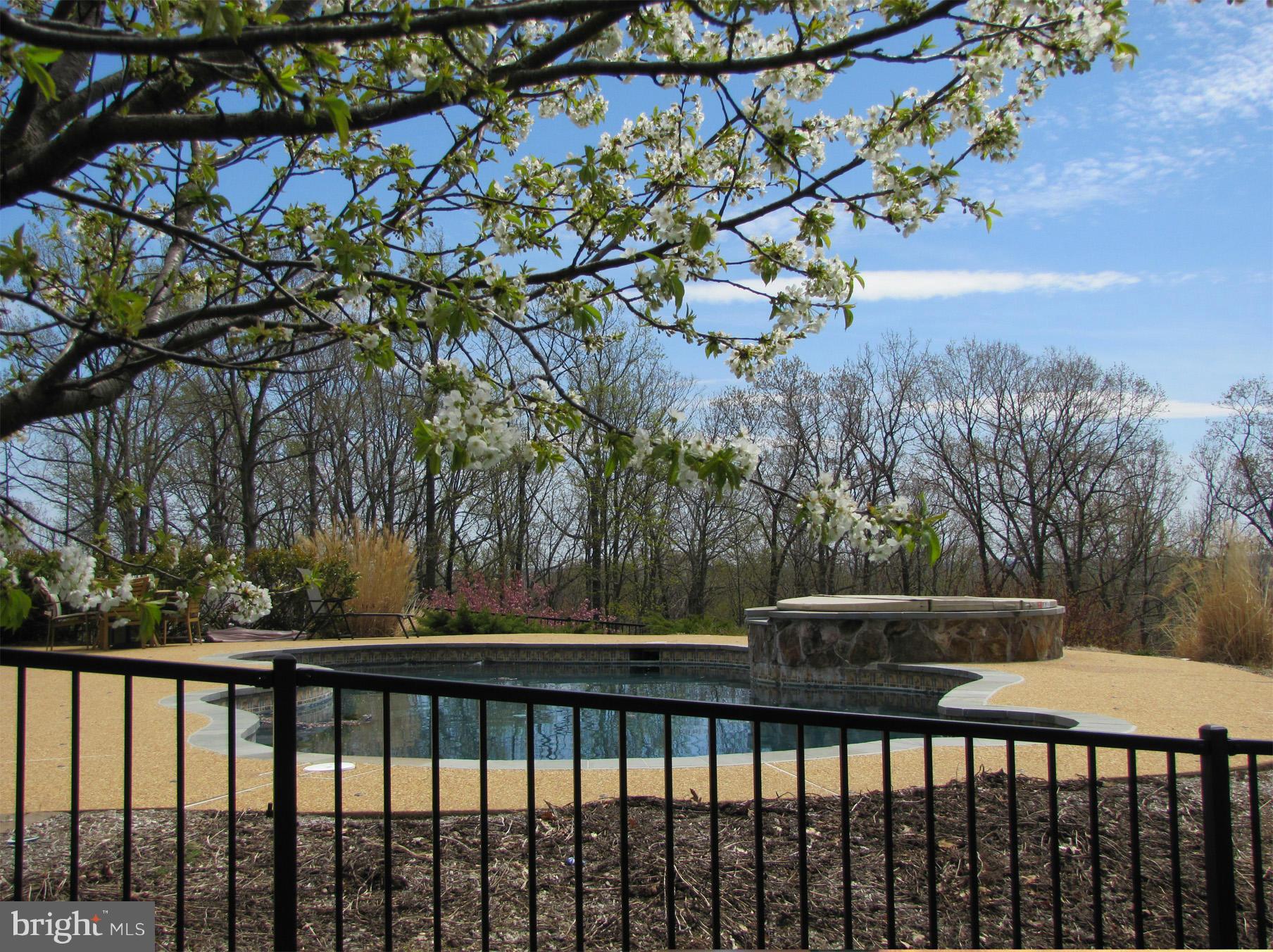 6219 Evergreen Mountain Road Broad Run, VA 20137 - Photo 3 of 29 Pool