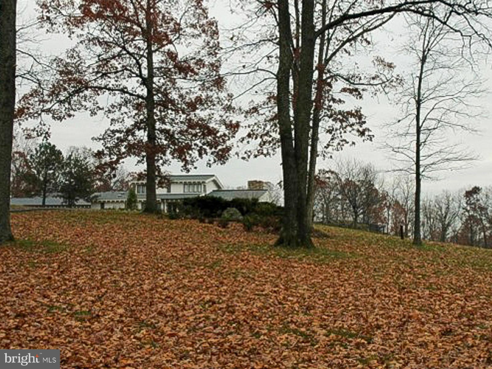 6219 Evergreen Mountain Road Broad Run, VA 20137 - Photo 21 of 29 Side yard