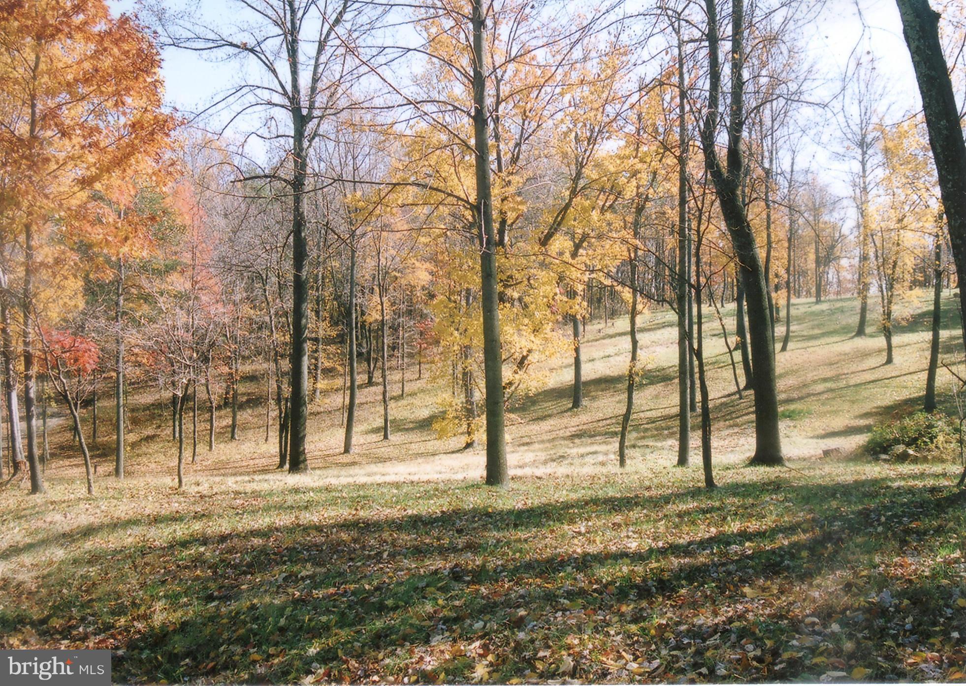 6219 Evergreen Mountain Road Broad Run, VA 20137 - Photo 23 of 29 View or woods