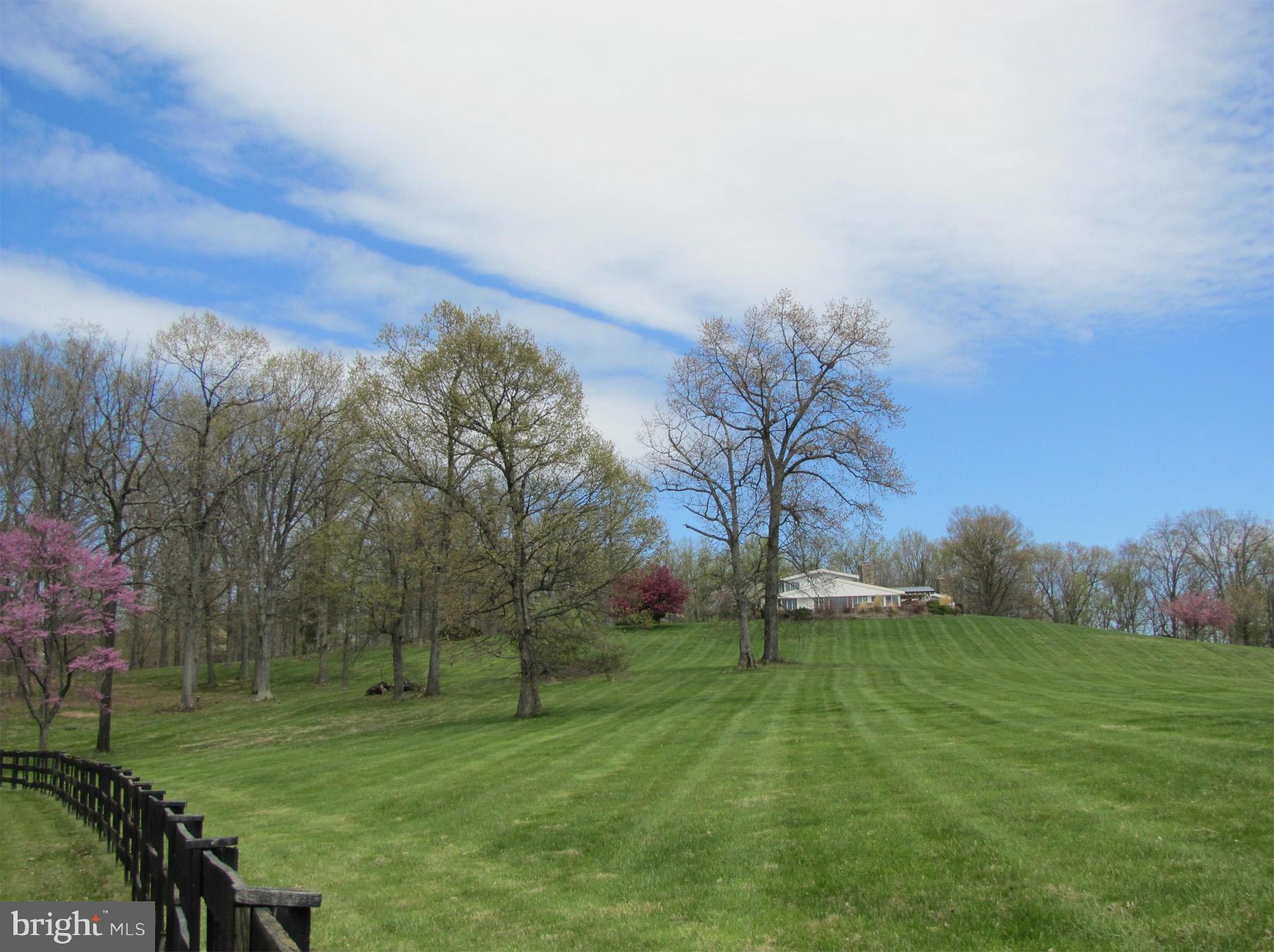 6219 Evergreen Mountain Road Broad Run, VA 20137 - Photo 25 of 29 View from road