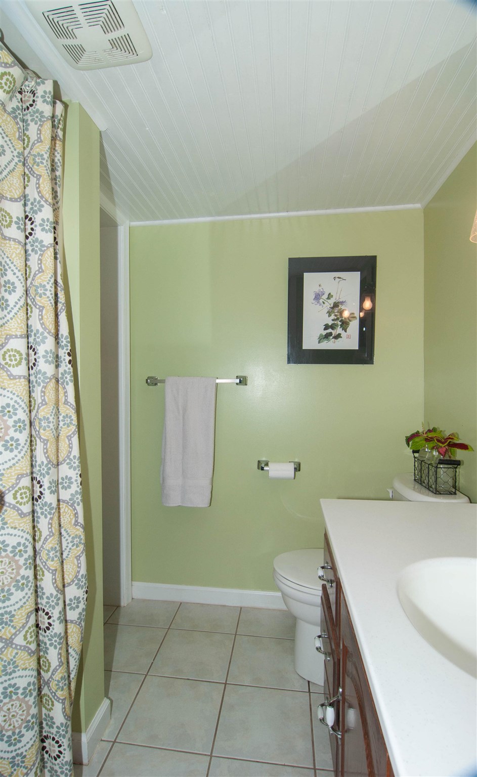 3155 Barterbrook Road Staunton, VA 24401 - Photo 35 of 59 a bathroom with a sink a toilet and shower