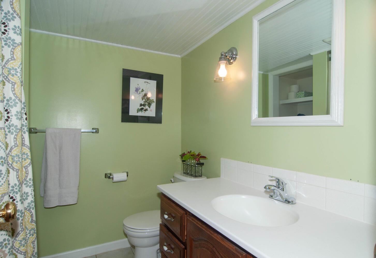 3155 Barterbrook Road Staunton, VA 24401 - Photo 36 of 59 a bathroom with a sink toilet and mirror