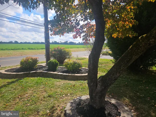 a view of a lake with a tree in the background
