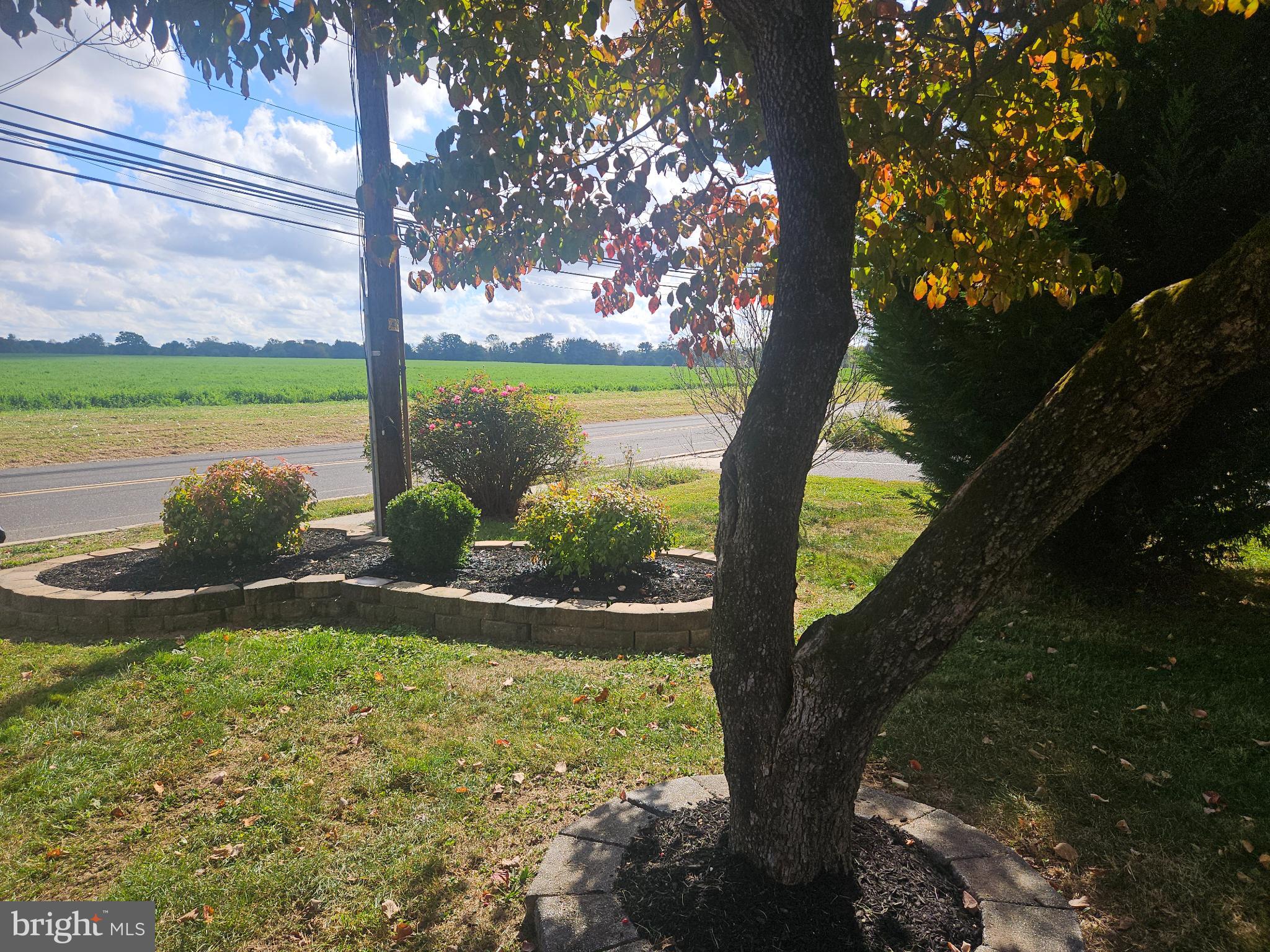 296 Extonville Road Allentown, NJ 08501 - Photo 7 of 46 Charming landscape with vibrant greenery.