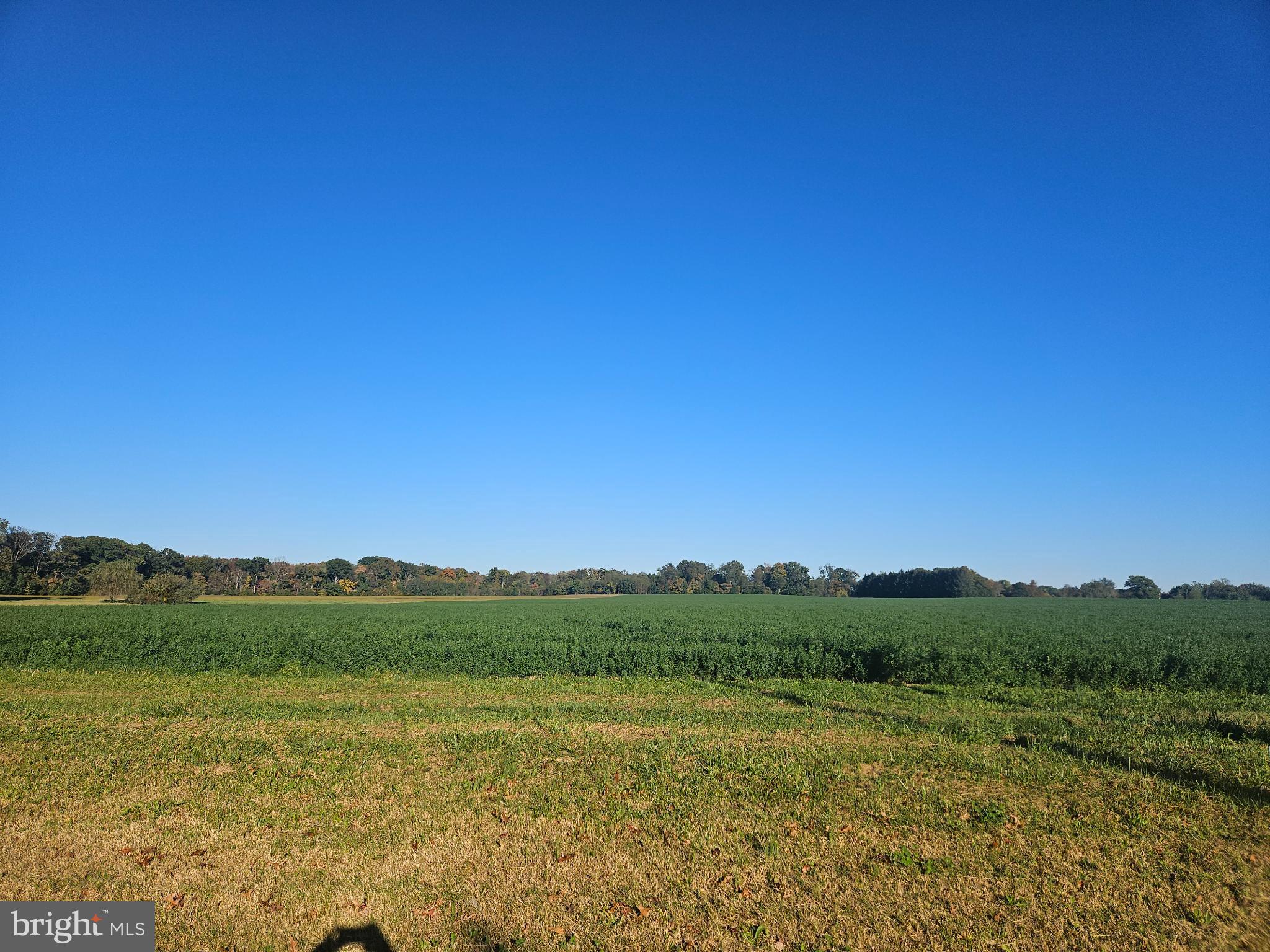 296 Extonville Road Allentown, NJ 08501 - Photo 8 of 46 Vast green fields under a clear blue sky.