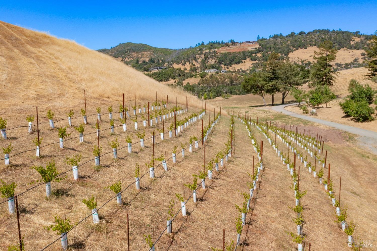 2641 Riebli Road Santa Rosa, CA 95404 - Photo 15 of 25