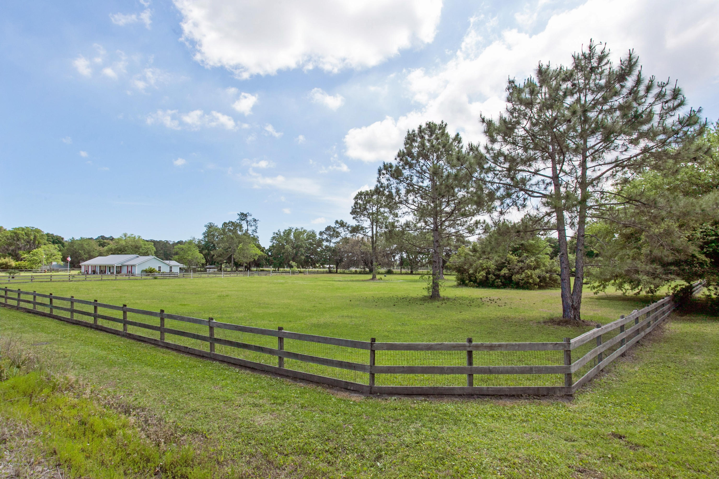 4735 Wolfe Road St. Augustine, FL 32092 - Photo 36 of 39 a view of a park with large trees