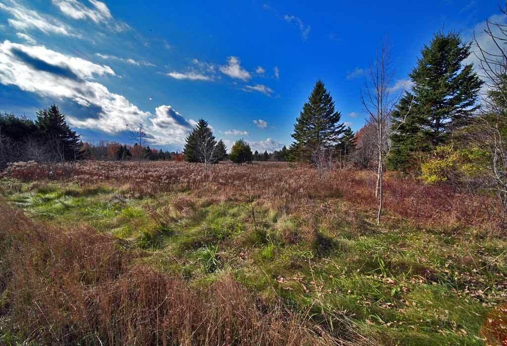 Lot 18 U.S. Rte 2 Newport, ME 04953 - Photo 41 of 62