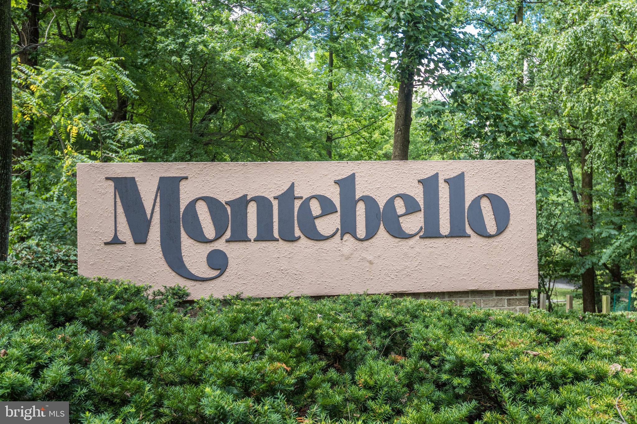 5904 Mt Eagle Drive, Unit 301 Alexandria, VA 22303 - Photo 35 of 45