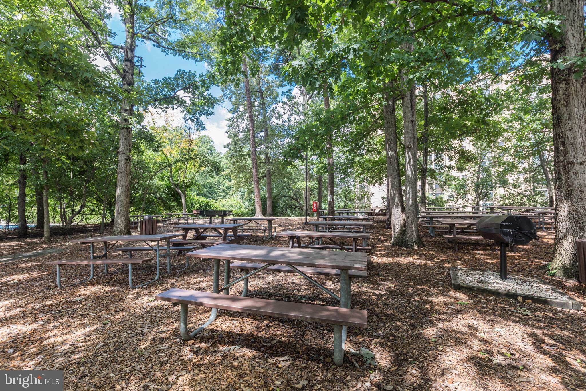 5904 Mt Eagle Drive, Unit 301 Alexandria, VA 22303 - Photo 38 of 45