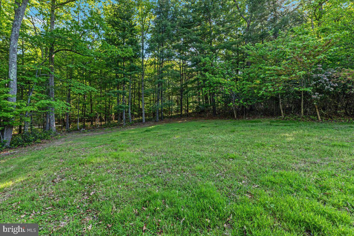 146 Lizzie Mills Road Castleton, VA 22716 - Photo 57 of 91