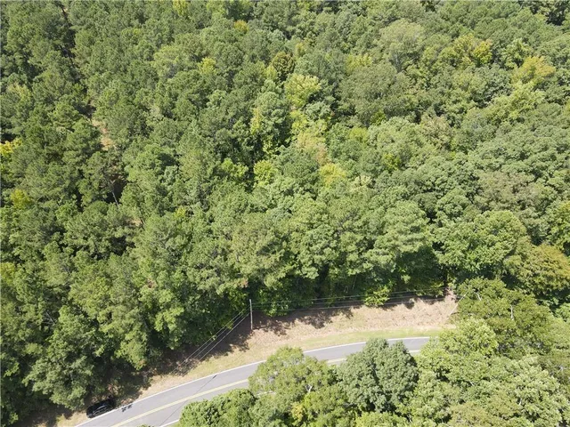 a view of a yard with plants and tree