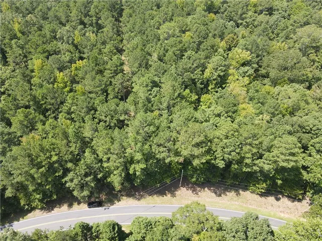 a view of a yard with plants and tree