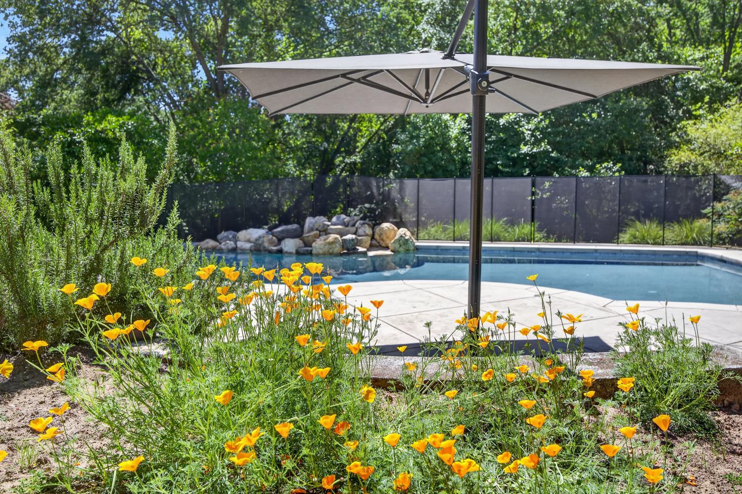 3940 Bannister Road Fair Oaks, CA 95628 - Photo 42 of 84 a view of yard with outdoor seating