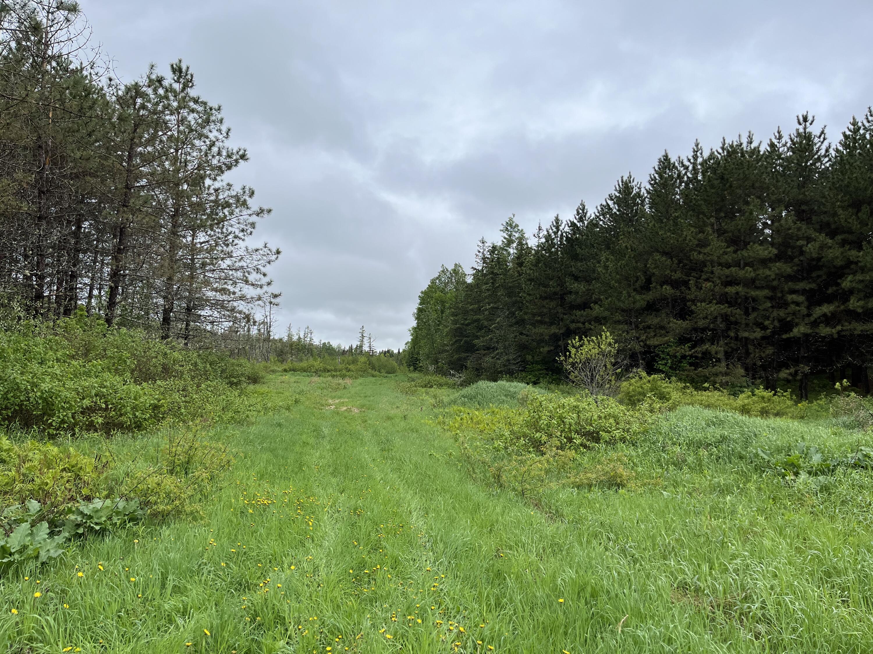1731 Hamlin Road Van Buren, ME 04785 - Photo 6 of 34 Hamlin property