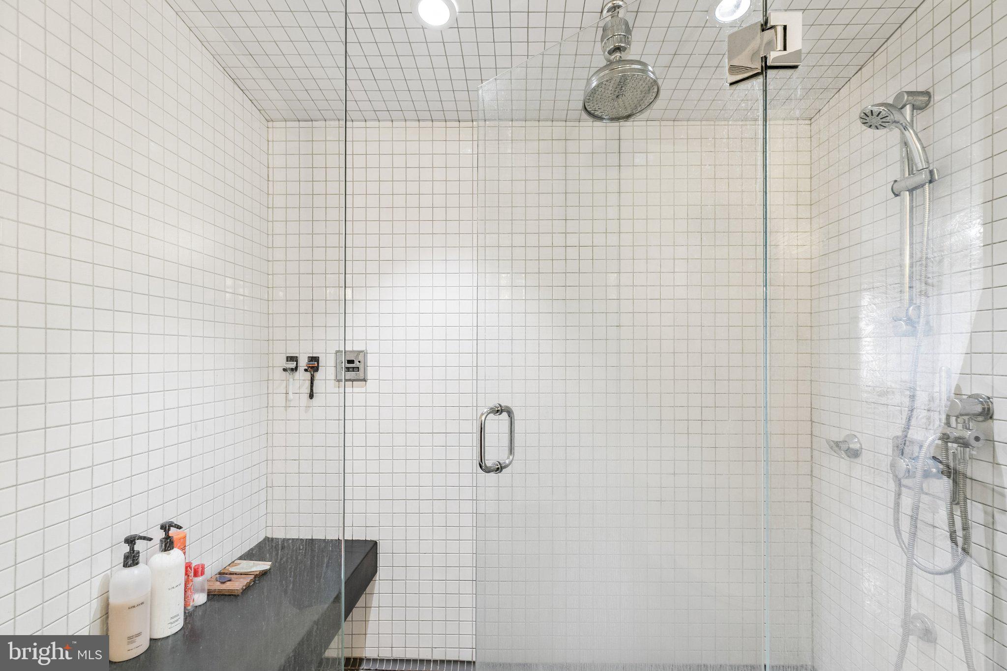1130 Lombard Street Philadelphia, PA 19147 - Photo 21 of 45 a bathroom with a shower