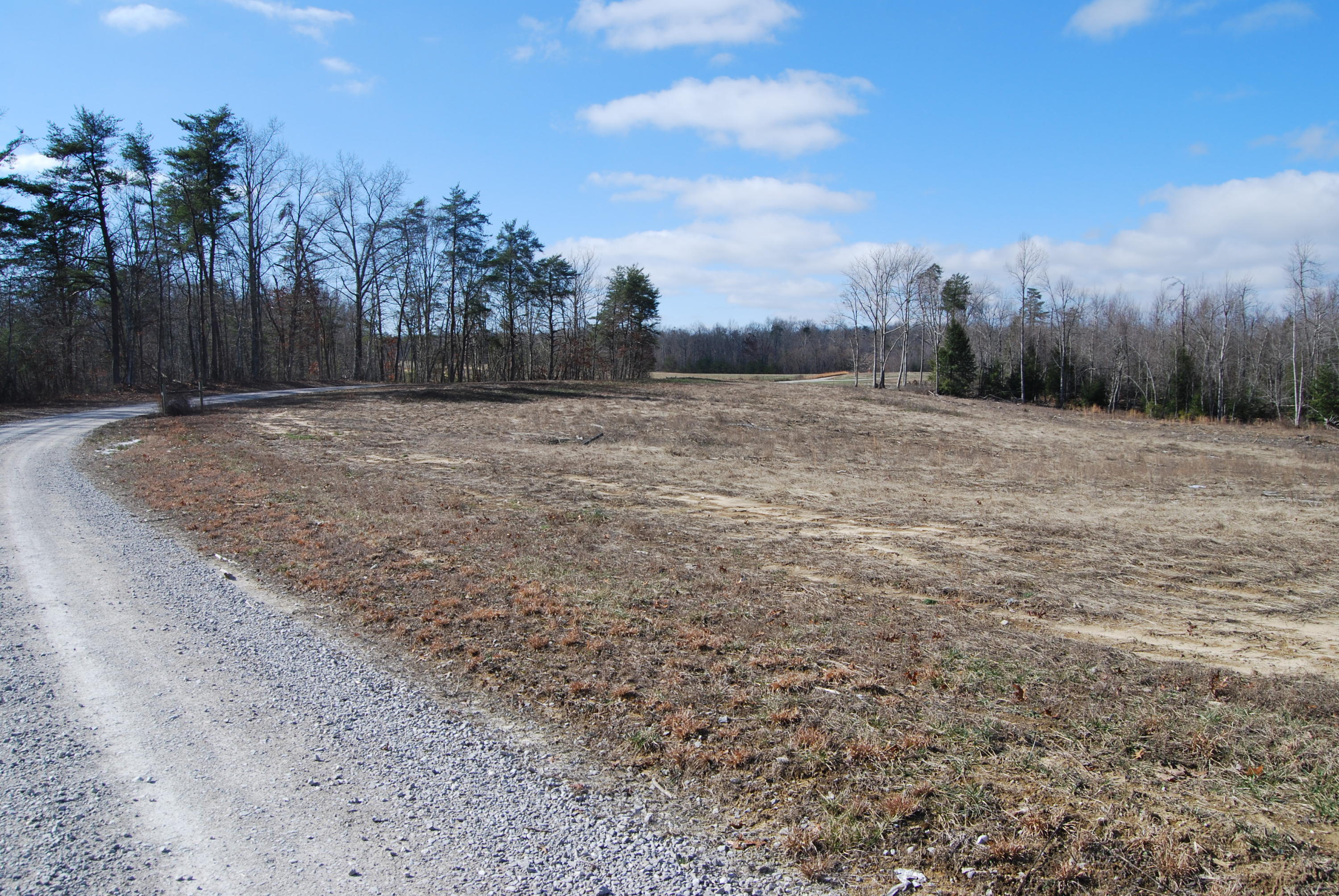 Laurel Cliff Road Clarkrange, TN 38553 - Photo 1 of 7 DSC_0045