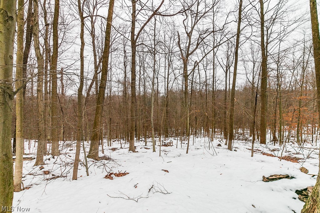 11265 Walnut Ridge Road Chesterland, OH 44026 - Photo 18 of 23 House backs up to Geauga County Park System