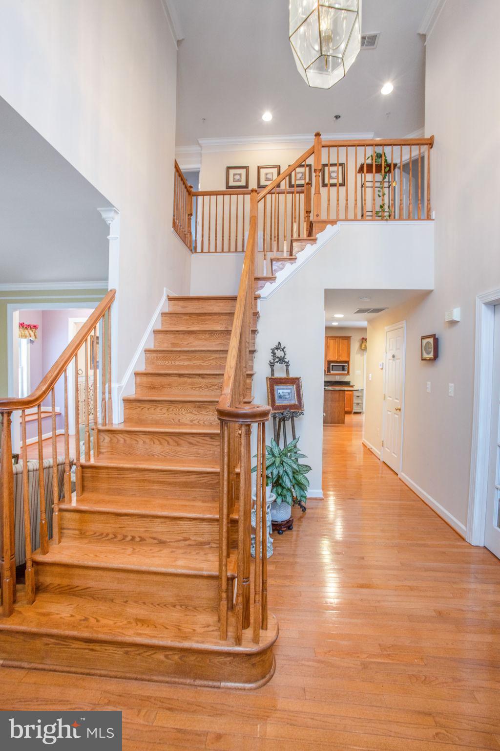 14526 Fairdale Road Silver Spring, MD 20905 - Photo 28 of 87 Gallery Image 28