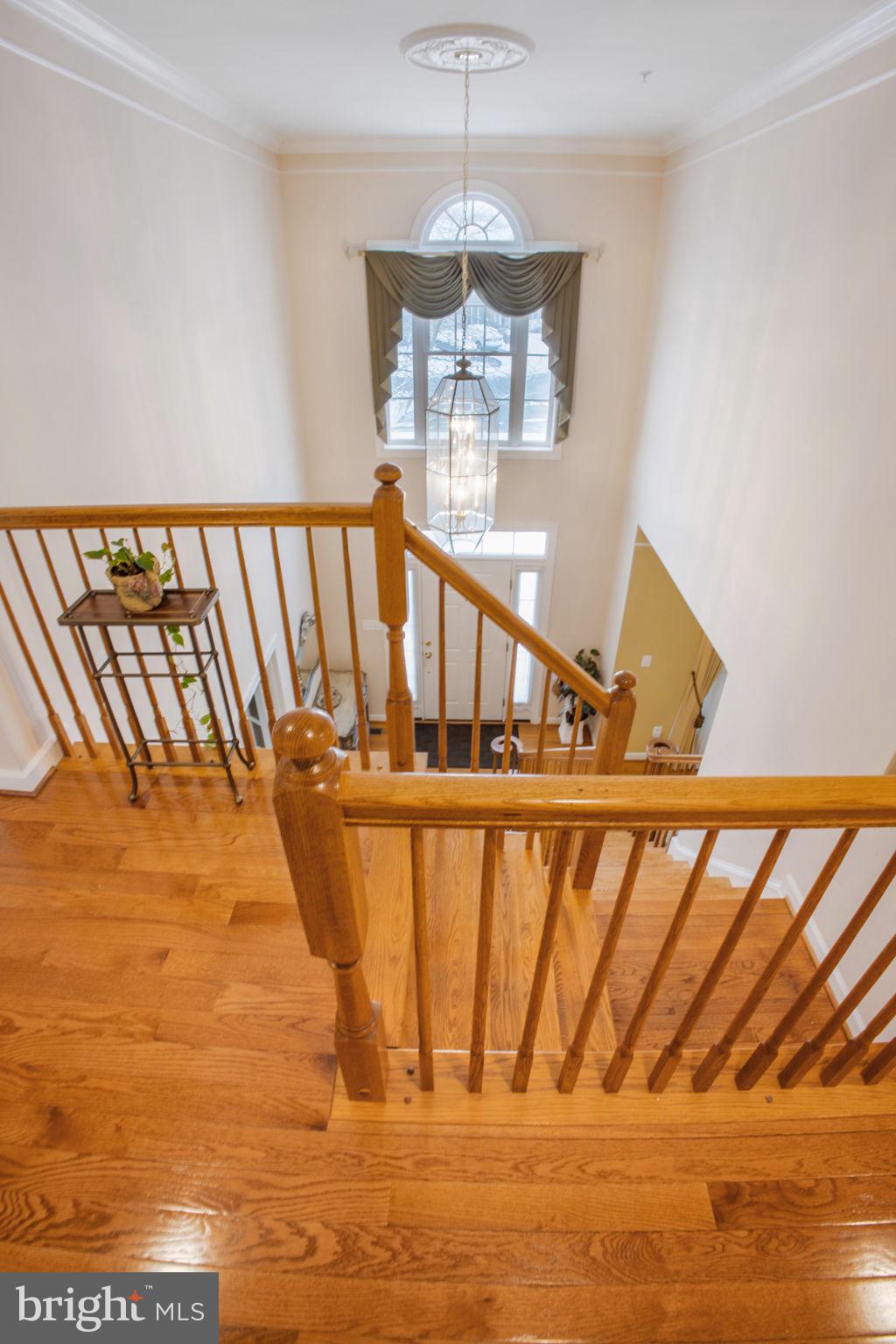14526 Fairdale Road Silver Spring, MD 20905 - Photo 30 of 87 Gallery Image 30