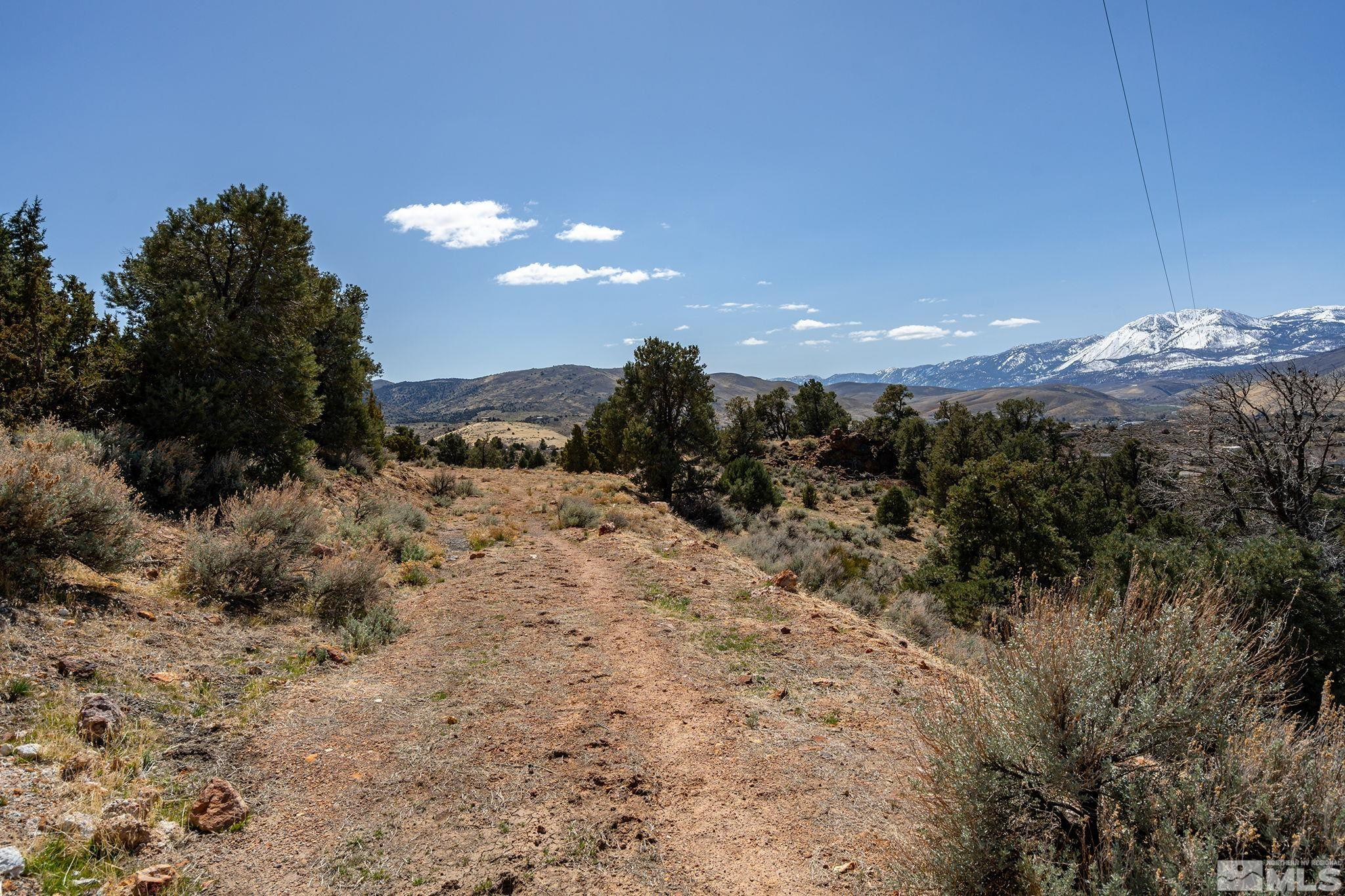 0 Temple Hill Road Reno, NV 89521 - Photo 3 of 15 a view of a dry yard with lots of trees