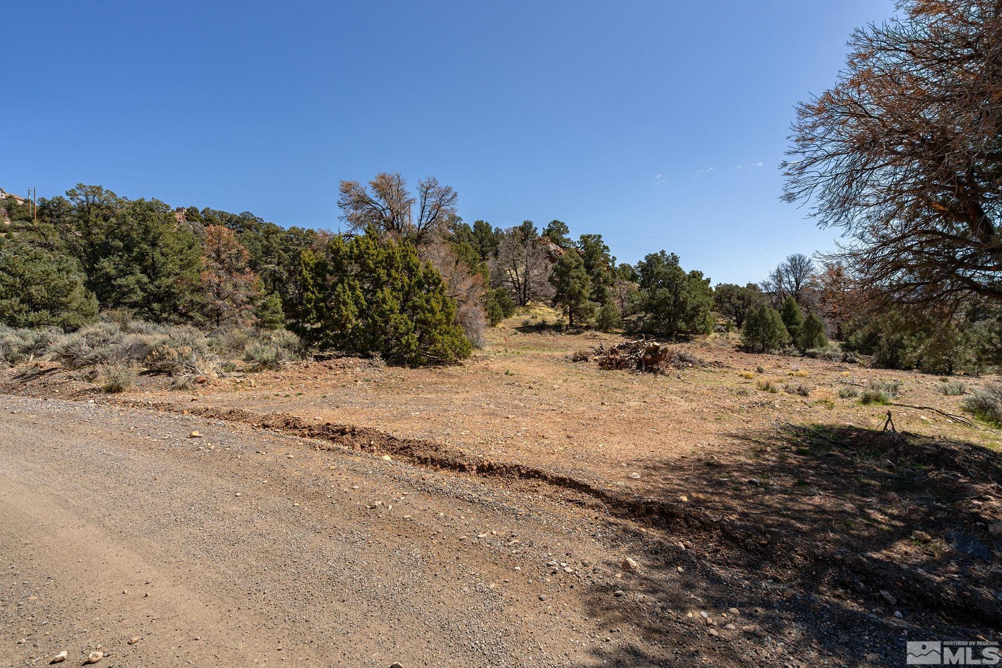 0 Temple Hill Road Reno, NV 89521 - Photo 5 of 15 a view of a snow on the side of a road