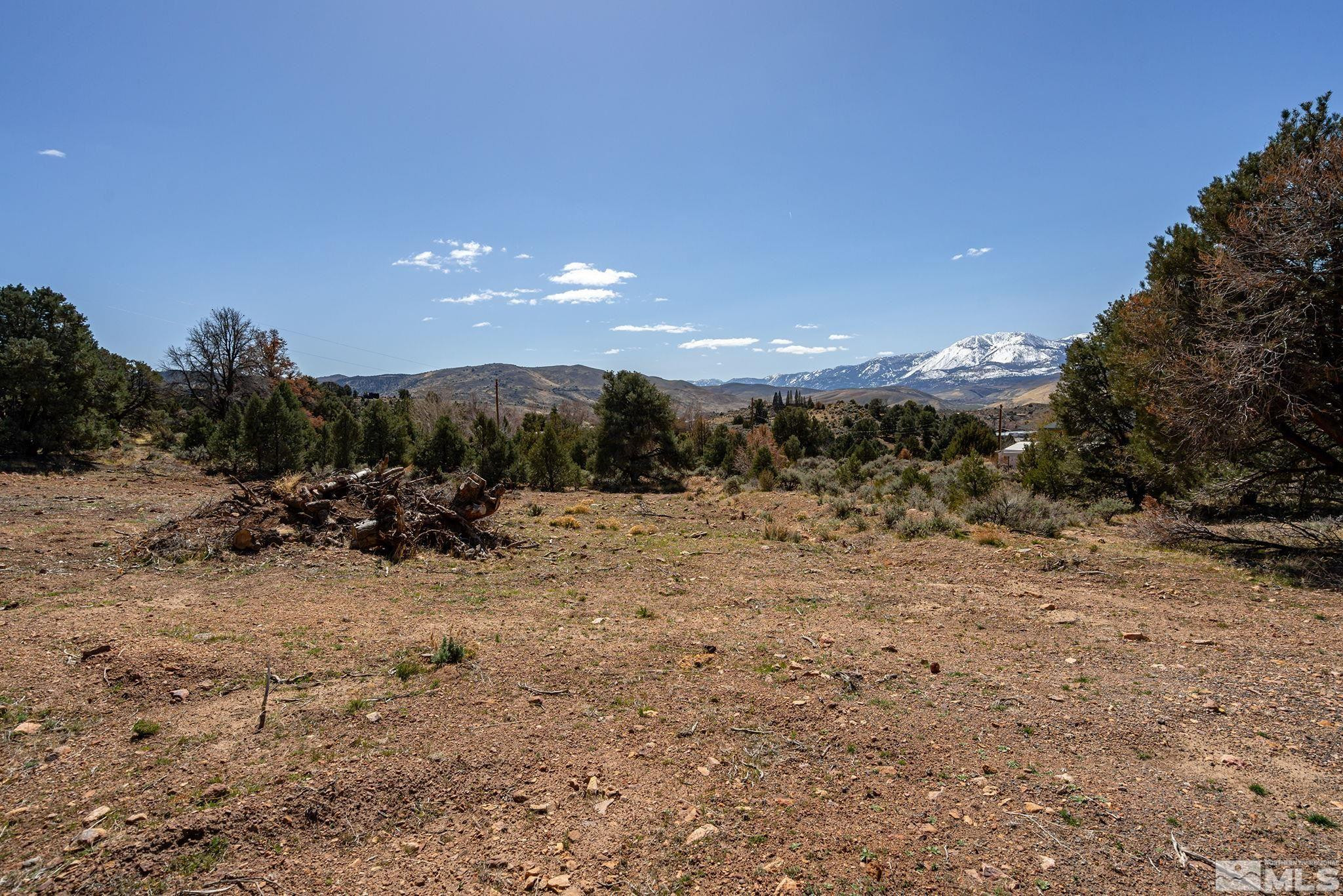 0 Temple Hill Road Reno, NV 89521 - Photo 6 of 15 a view of a covered with trees in the background