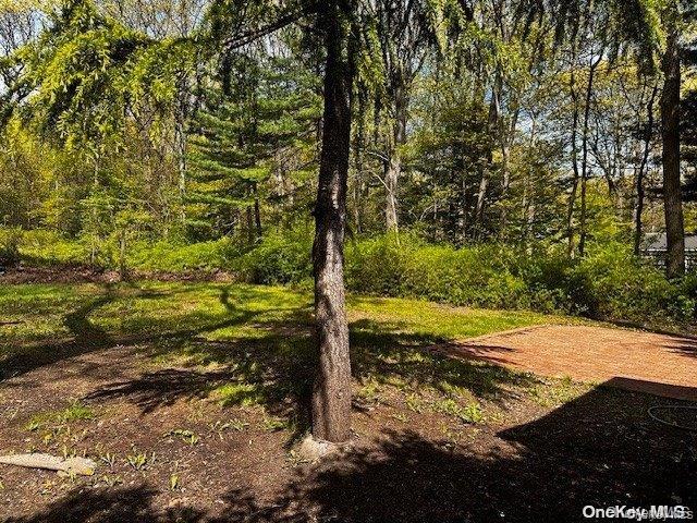 196 Deforest Road Dix Hills, NY 11746 - Photo 16 of 17